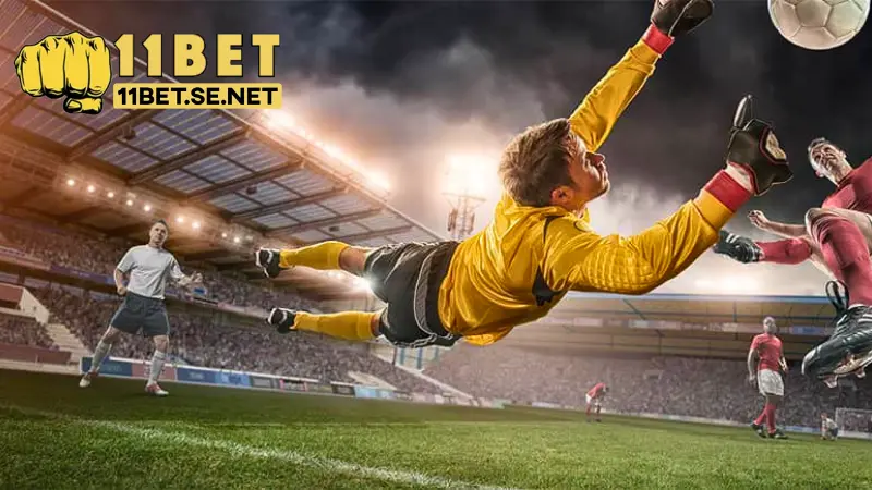 Kinh nghiệm đặt cược thành công tại 11BET